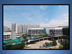 Pinevale (D18), Condominium #206816281